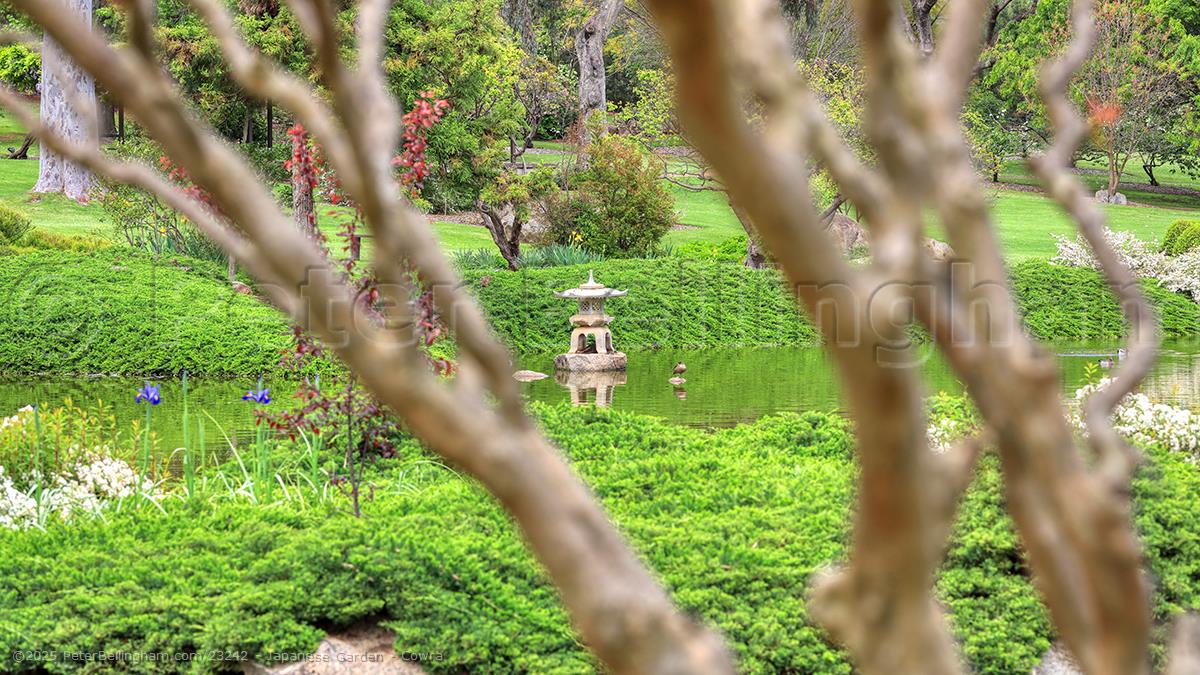 Peter Bellingham Photography Japanese Garden - Cowra